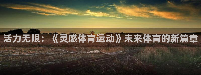 成都熊猫体育公园