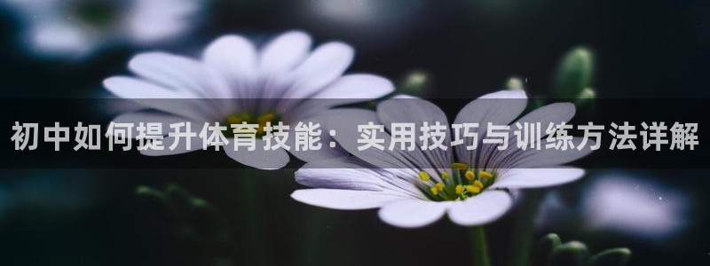 熊猫体育怎么样