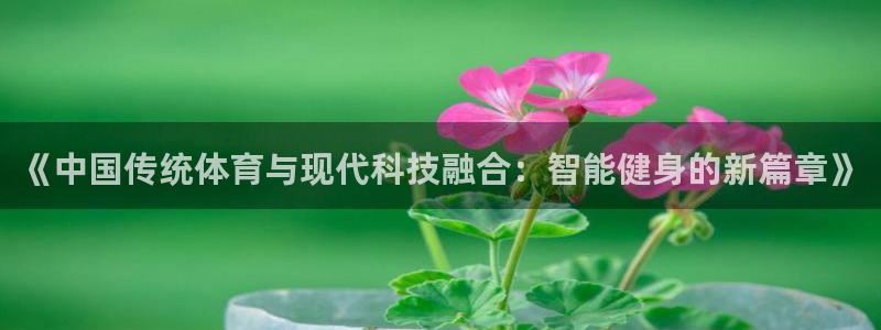 熊猫体育在线