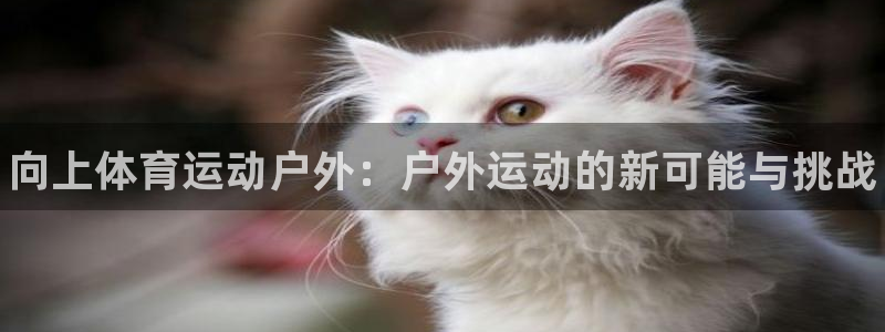 成都金熊猫体育