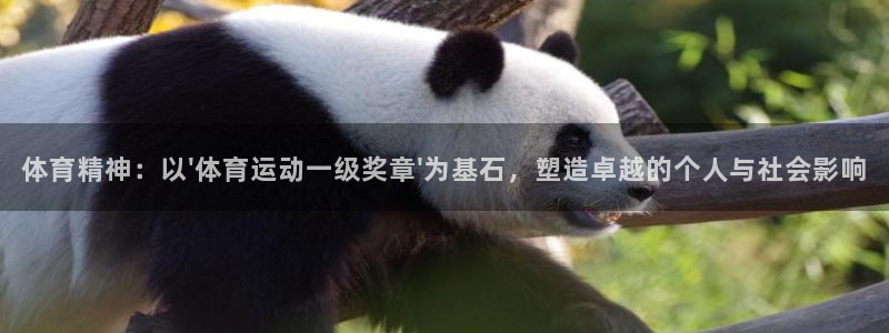 熊猫体育比赛直播