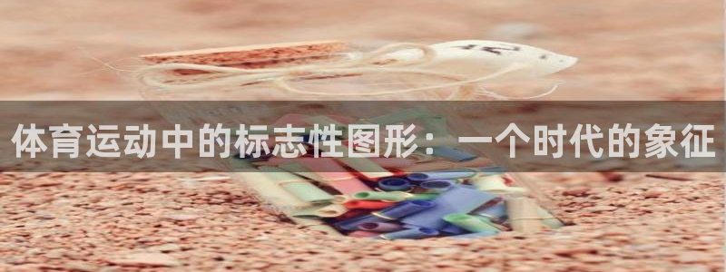 熊猫体育在线观看