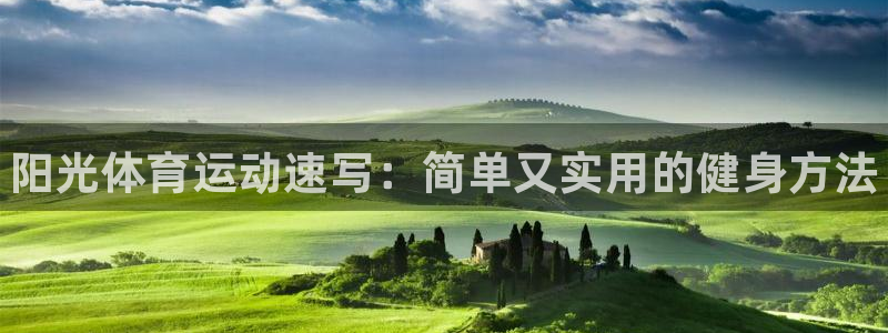熊猫体育v3.新网页.org
