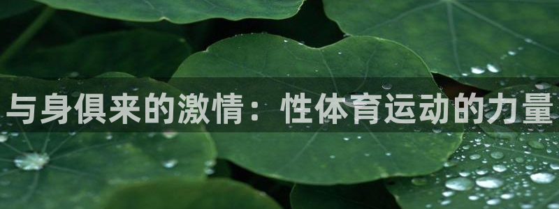 下载熊猫体育