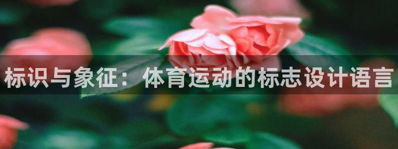 熊猫体育手机版下载