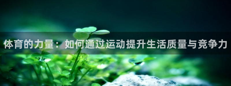 熊猫体育网站