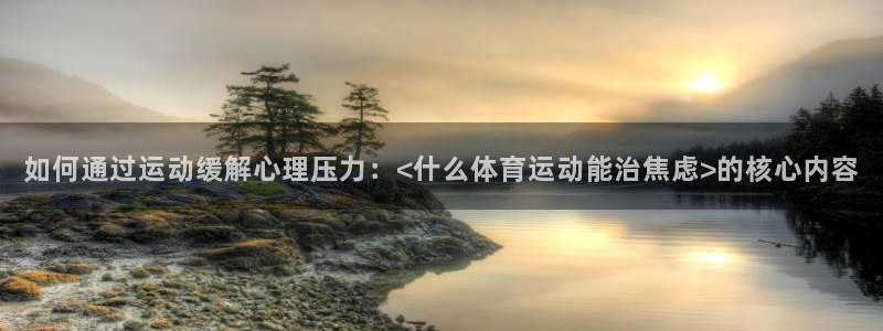 熊猫体育网址