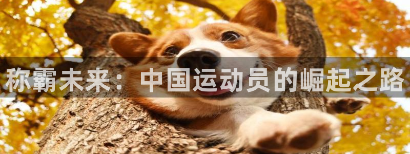 熊猫体育平台