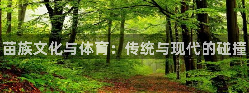熊猫体育官方网站