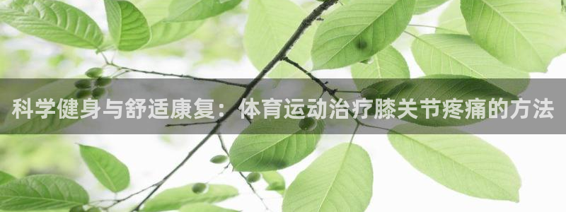 熊猫体育网址