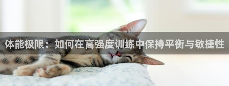 熊猫体育手机版