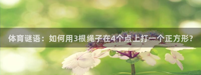 动感熊猫体育公园