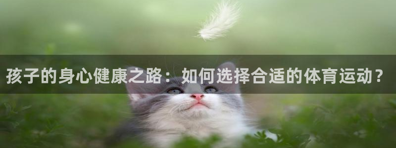 成都金熊猫体育