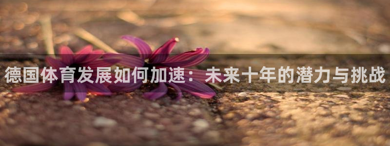 熊猫体育公园