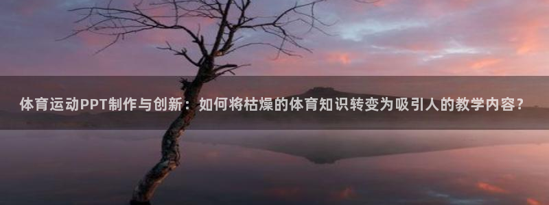 动感熊猫体育公园