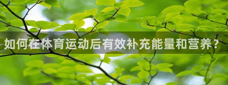 熊猫体育在线