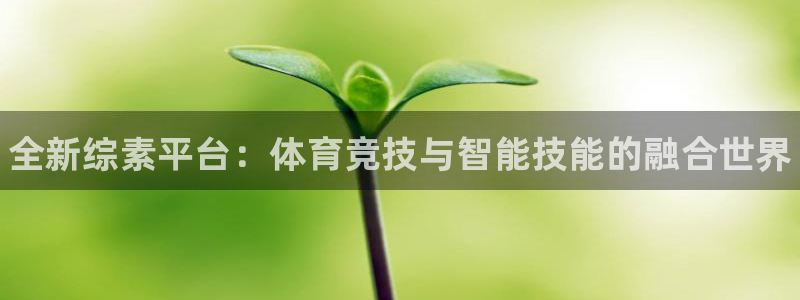 熊猫体育v3.新网页.org