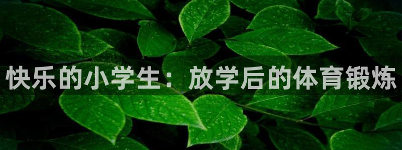 熊猫体育网址