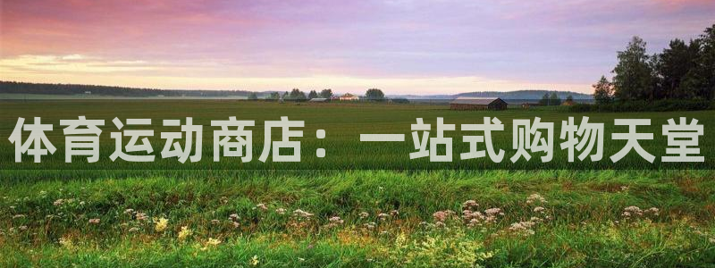 熊猫体育怎么样
