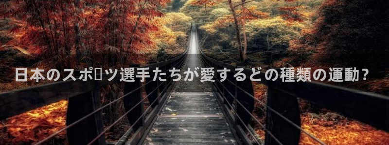 熊猫体育app官方下载最新版