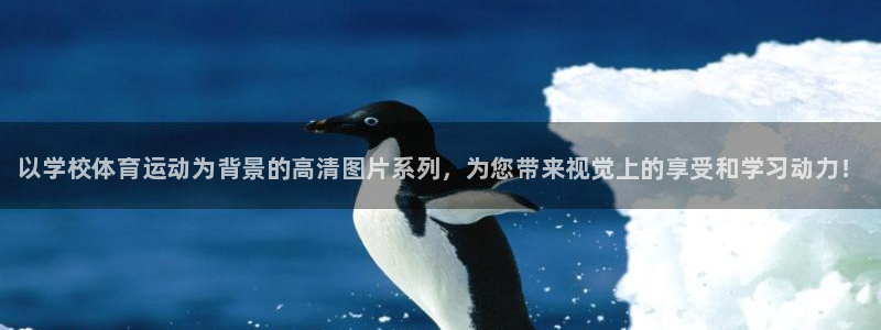 熊猫体育官方网站
