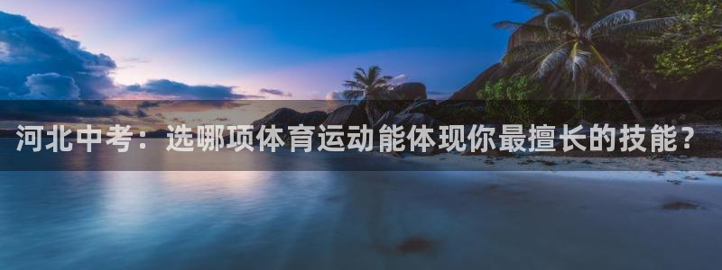 熊猫体育官网首页入口