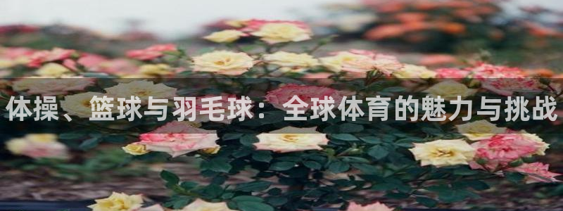 熊猫体育官方网站
