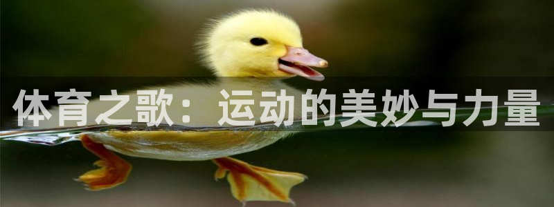 熊猫体育sports