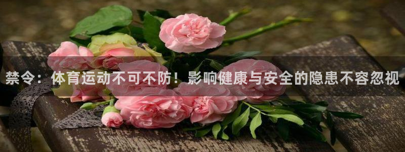 熊猫体育比赛直播