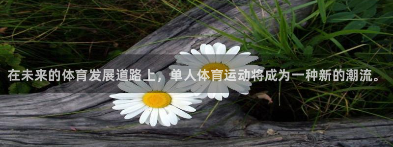 成都熊猫体育公园