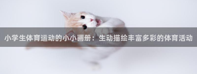 成都金熊猫体育