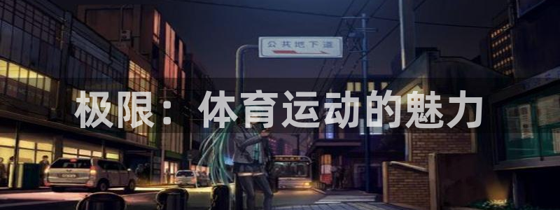 熊猫体育app官网入口