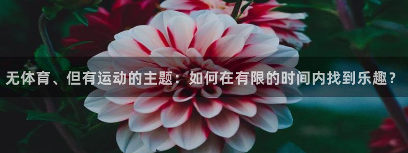 熊猫体育平台
