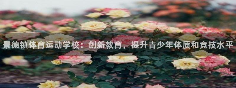熊猫体育比赛直播