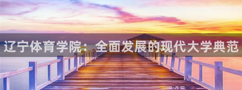 成都金熊猫体育
