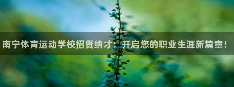 熊猫体育直播