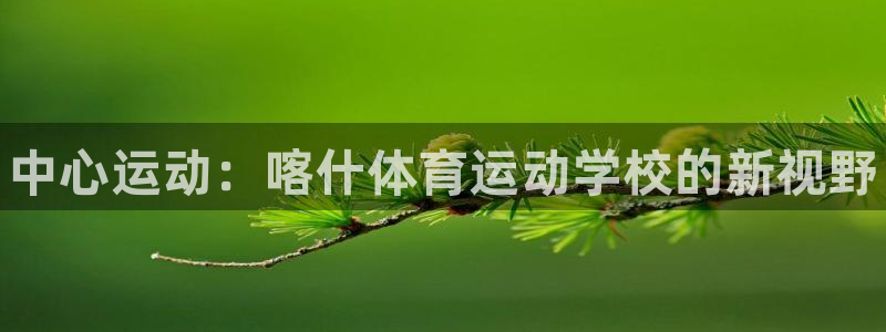 下载熊猫体育