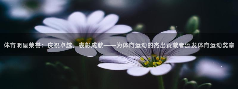 熊猫体育app官方入口