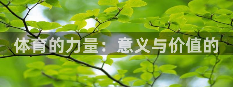 熊猫体育nba