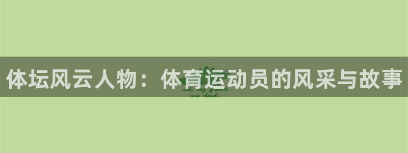成都金熊猫体育