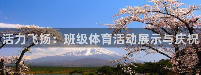 熊猫体育比赛直播
