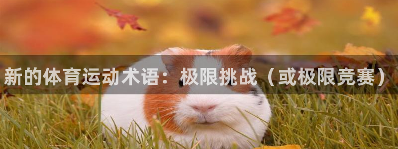 熊猫体育直播