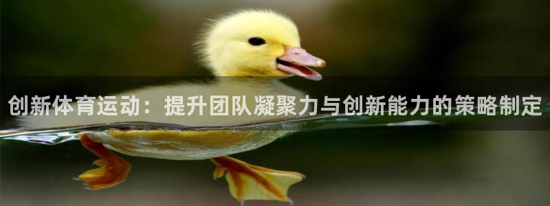 熊猫体育直播