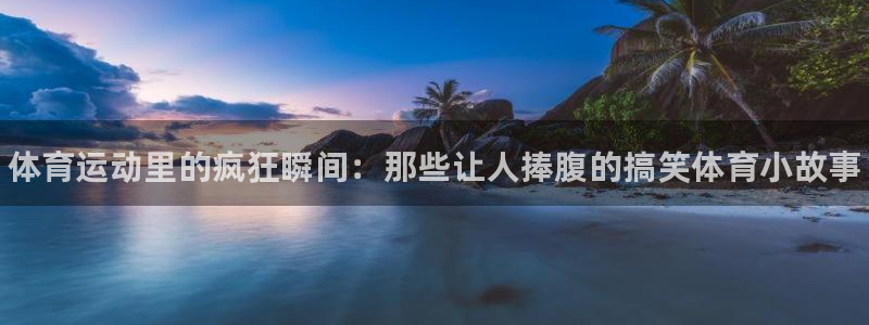 动感熊猫体育公园