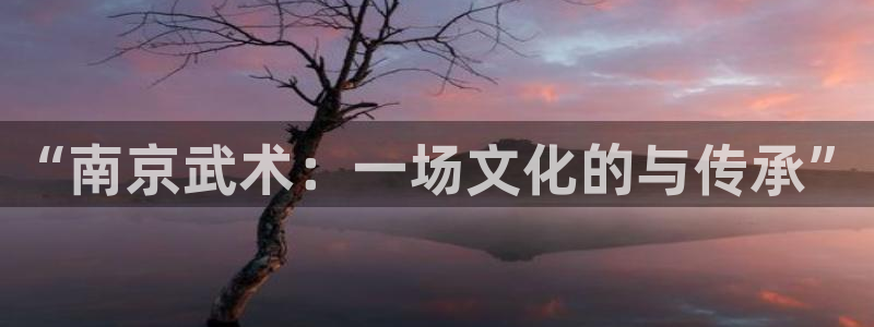 成都金熊猫体育