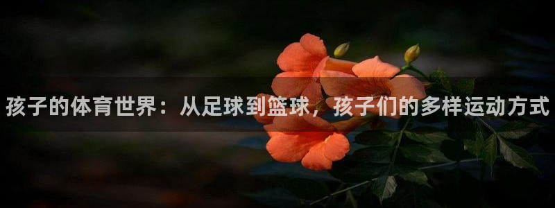 熊猫体育sports