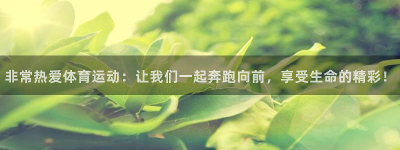 熊猫体育直播