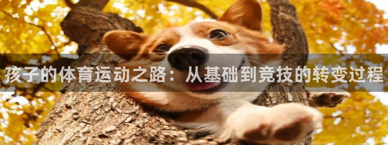 熊猫体育手机版