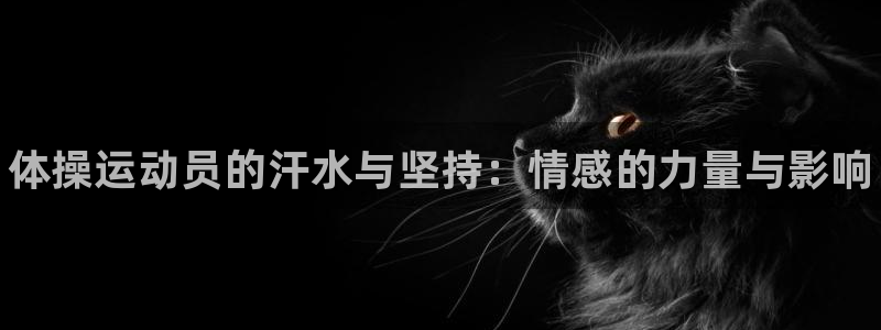 熊猫体育在线观看