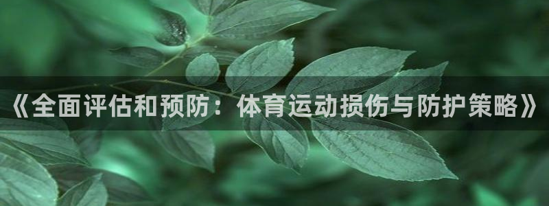 熊猫体育app下载安装
